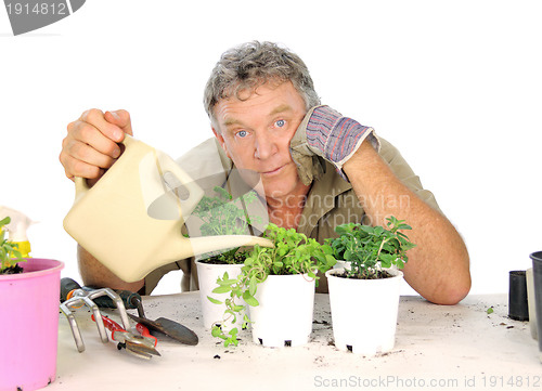 Image of Watering Can Nurseryman