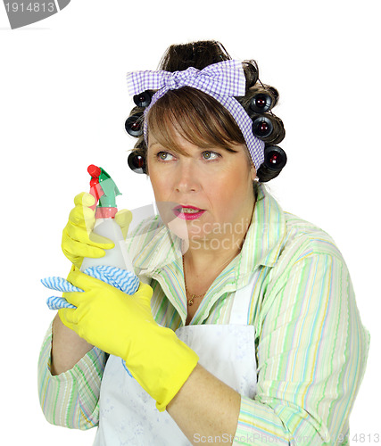 Image of Spraying Housewife