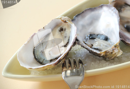 Image of Natural Oysters