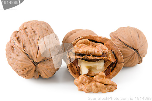Image of Walnut