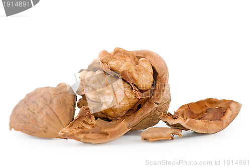 Image of Walnut