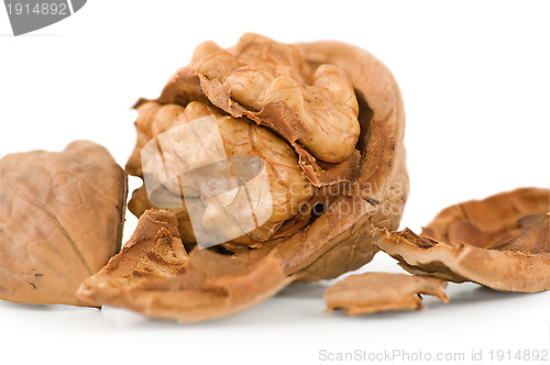 Image of Walnut