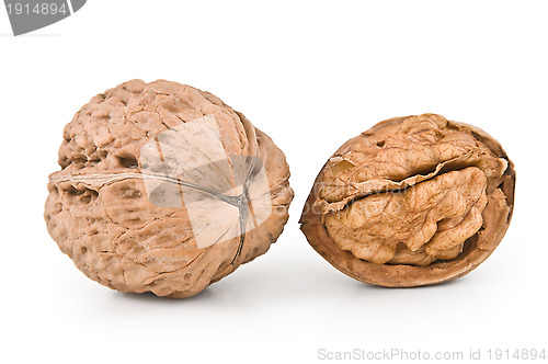 Image of Walnut