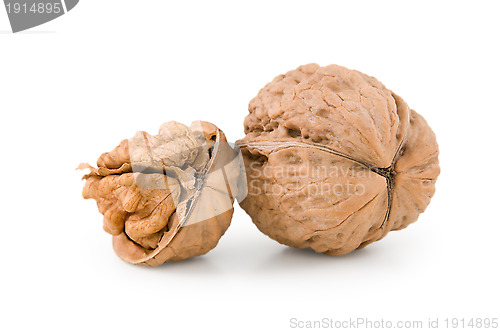 Image of Walnut
