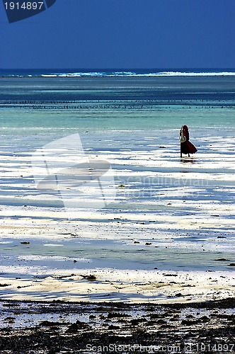 Image of masai in zanzibar