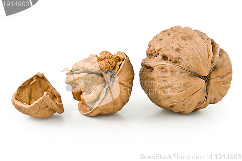 Image of Walnut