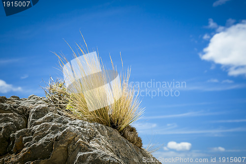 Image of stone grass blue sky