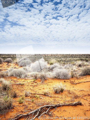 Image of outback