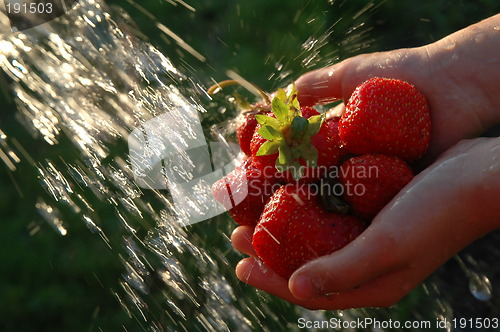 Image of Strawberry under a jet of water.