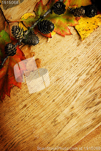 Image of Leaves on a board