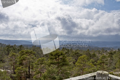 Image of view over forest with cloudy sky