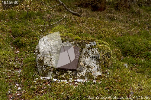 Image of iron plate in on stone in nature