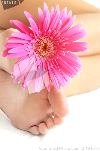 Image of Flower and Feet