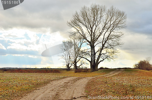 Image of autumn landscape