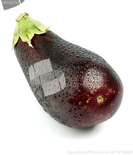 Image of Perfect Eggplant