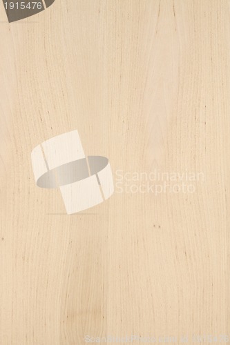 Image of Wood Texture