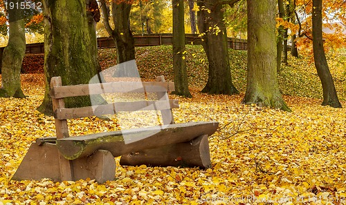 Image of wooden bench in the park