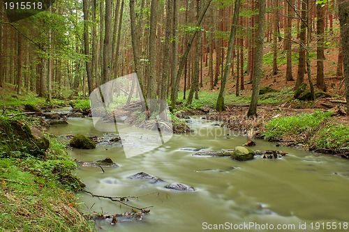 Image of small creek