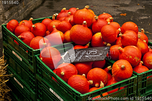 Image of Hokkaido