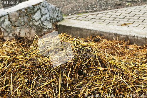 Image of dung heap 