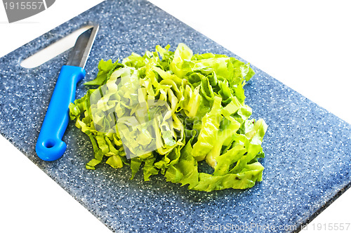 Image of cutting salad