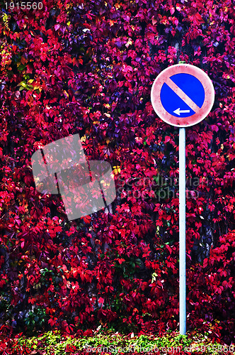 Image of traffic sign with autumnal colored leaves