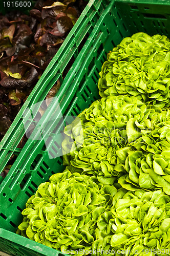 Image of salad offer