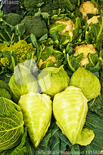 Image of white kale at a farmer market