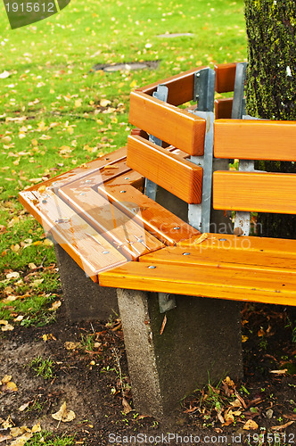 Image of park bench in autumn