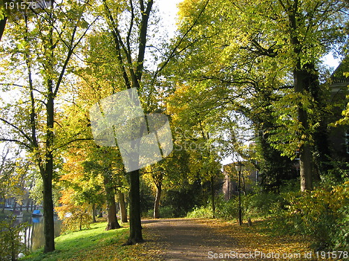 Image of Trees around path