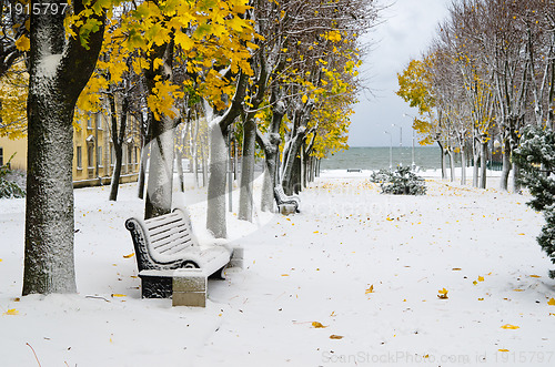 Image of Alley in the Park later in the autumn. Snow storm 