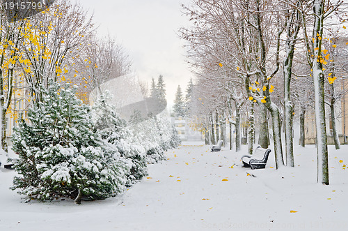Image of Alley in the Park later in the autumn. Snow storm 