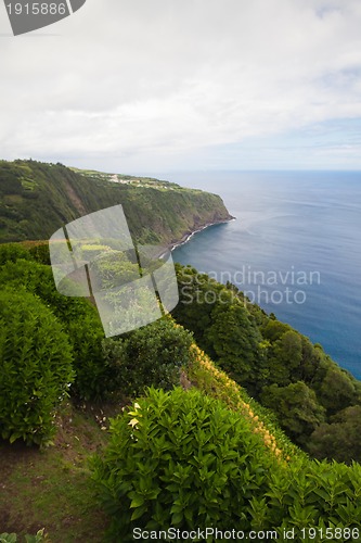 Image of The dramatic coast on Azores