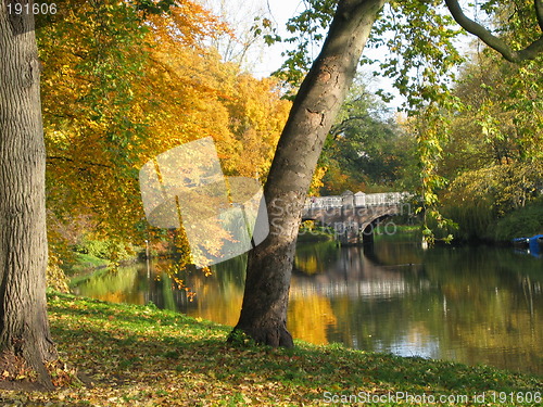 Image of trees and water