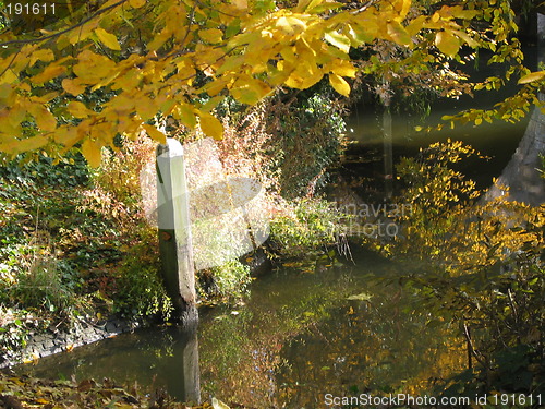 Image of Water surrounded by autumn