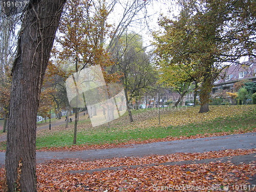Image of autumn in park