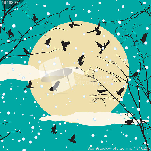 Image of Birds and tree silhouettes