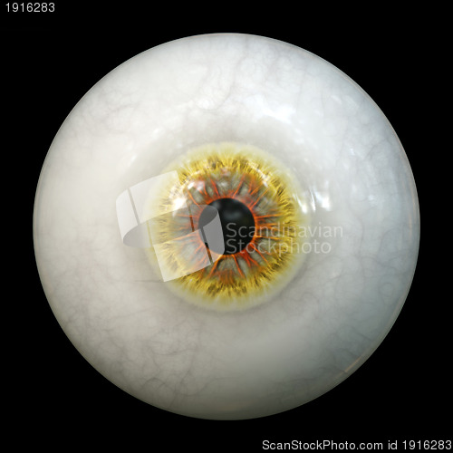 Image of halloween eye