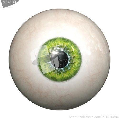 Image of green eye