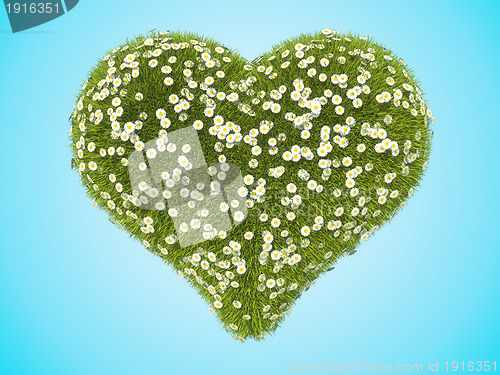 Image of Green grass heart shape with camomile flowers over blue