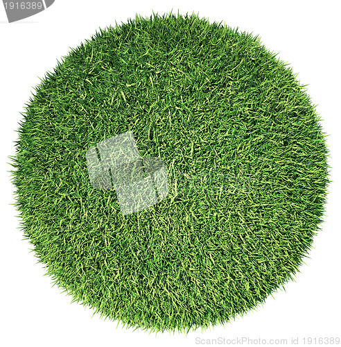 Image of Environment: green fresh grass globe or planet isolated