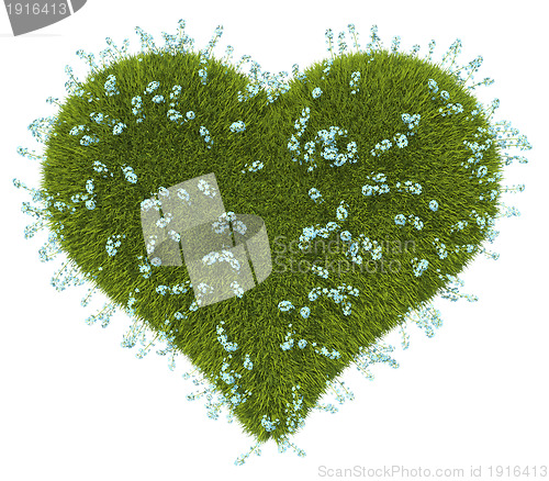 Image of Green grass heart shape with forget-me-not flowers