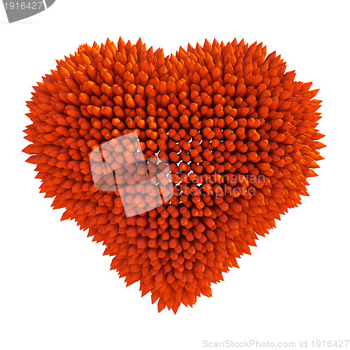 Image of Dangerous love: sharp acidotus heart shape