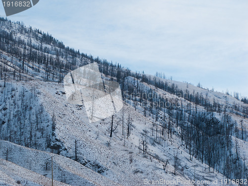 Image of Snowy hillside in Kamloops BC