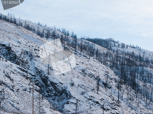 Image of Snowy hillside in Kamloops BC