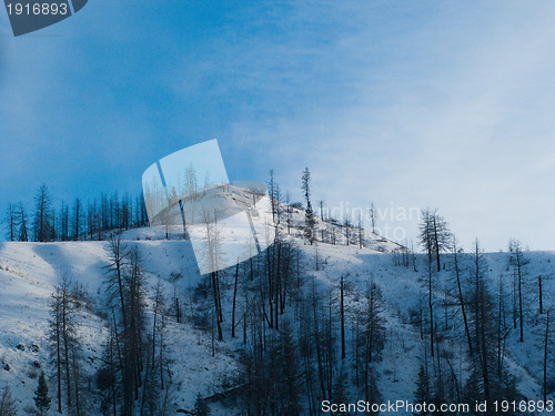 Image of Snowy hillside in Kamloops BC