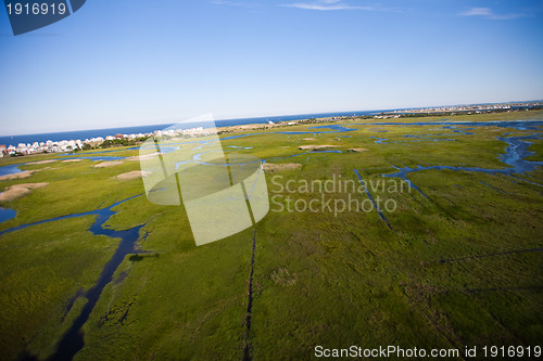 Image of Aerial view of green field