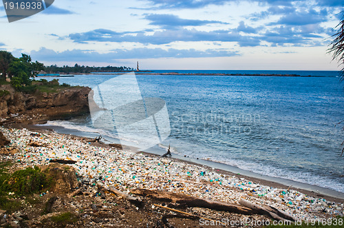 Image of Trash-strewn beach