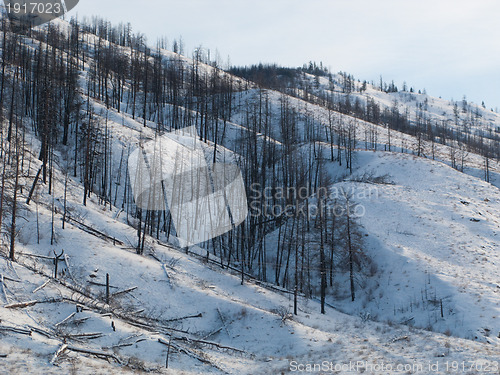 Image of Snowy hillside in Kamloops BC