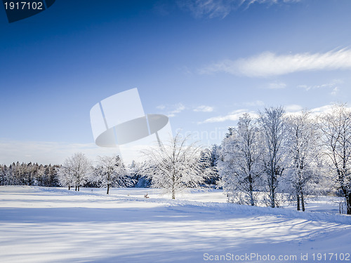 Image of winter scenery